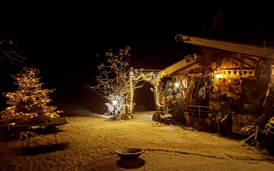 Ein Blick zurück und ein Blick nach vorne: Dankbarkeit zur Weihnachtszeit und ein herzlicher Ausblick