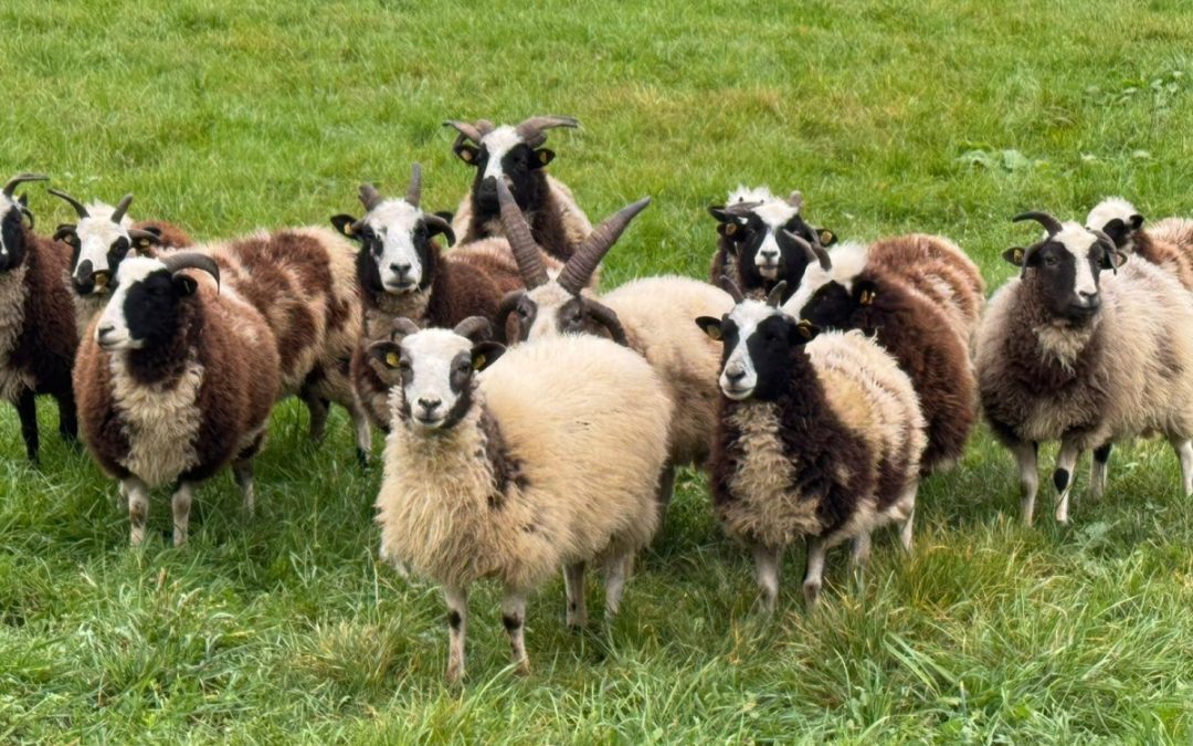 Nikolaustag – Schöne Erinnerungen