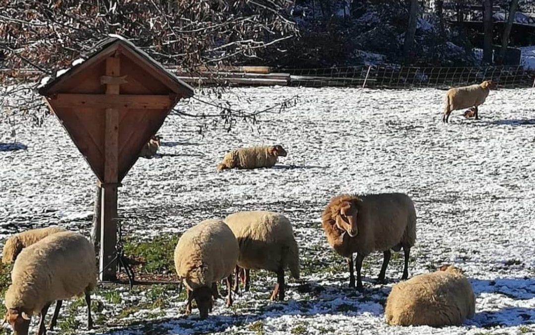 Dezember – Der Monat des Innehaltens und der Entscheidungen