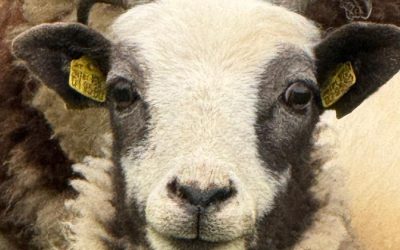 Endlich durchatmen – Ein Steuerberater macht den Unterschied!