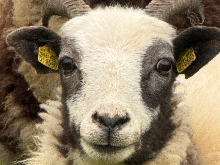 Endlich durchatmen – Ein Steuerberater macht den Unterschied!