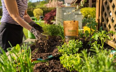 Frühling im Garten – Schafwollpellets für einen grünen Daumen und kräftige Pflanzen
