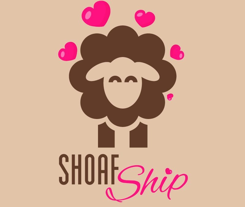 Shoafbauer´s Schafe suchen das Glück