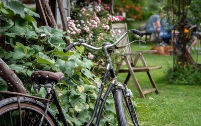 Literatur am Bauernhof – Nahrung für Körper, Geist und Seele
